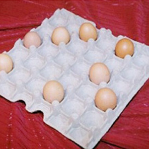 ���е���