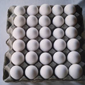 ���е��ЏS��